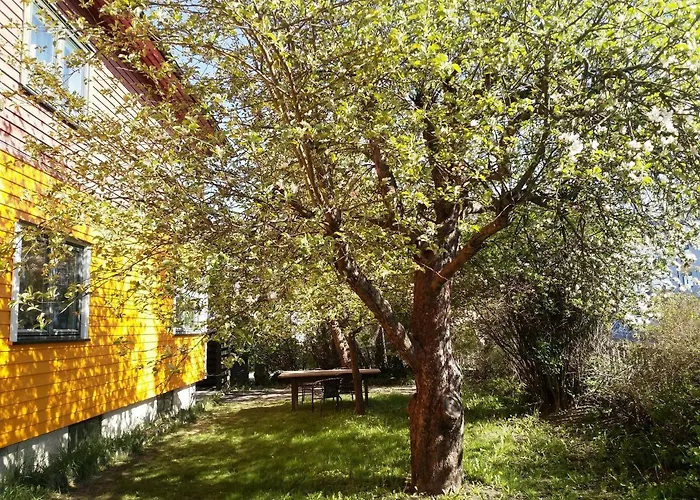 Renovated Semi- Basement 2 Bedrooms Furnished Apartment - Close To Everything In Moss