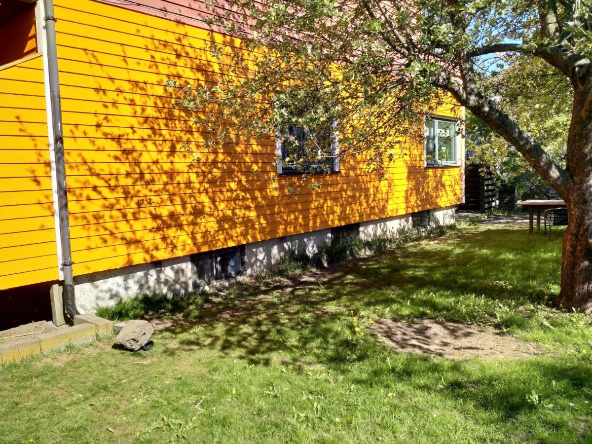 Renovated Semi- Basement 2 Bedrooms Furnished - Close To Everything In