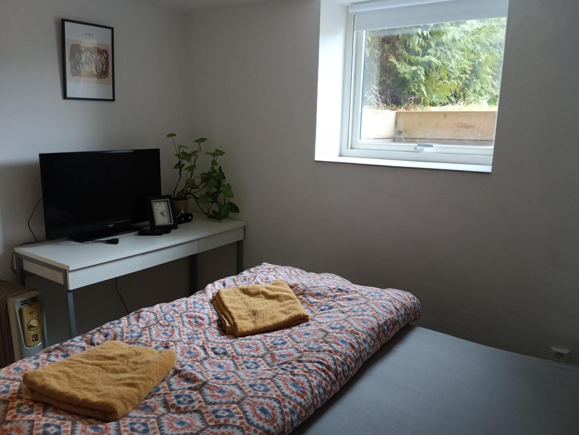 Renovated Semi- Basement 2 Bedrooms Furnished - Close To Everything In *